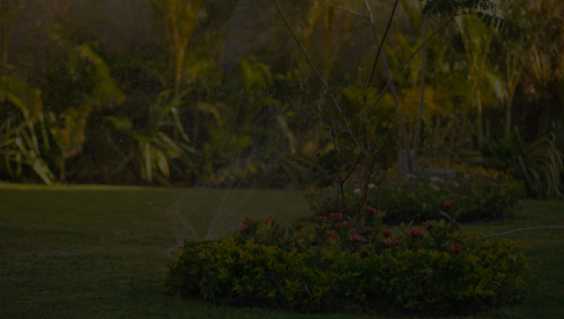 parallax background